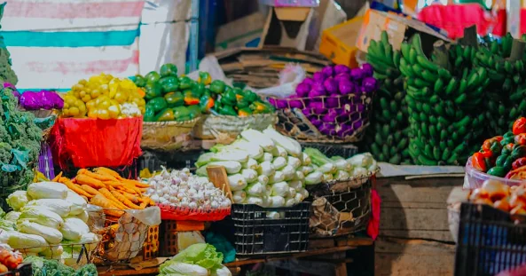 Alimentazione vegana per cani e gatti